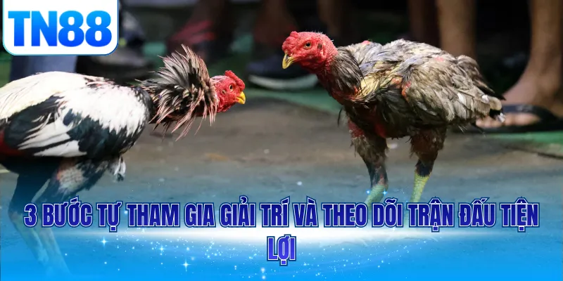 3 bước tự tham gia giải trí và theo dõi trận đấu tiện lợi