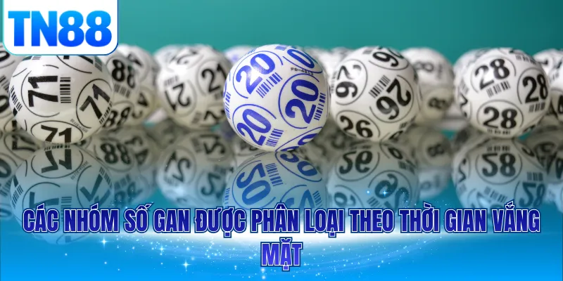 Các nhóm số gan được phân loại theo thời gian vắng mặt
