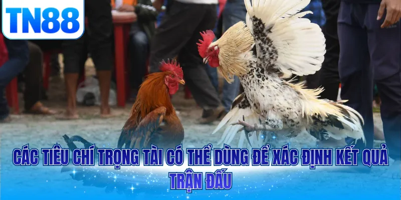 Các tiêu chí trọng tài có thể dùng để xác định kết quả trận đấu