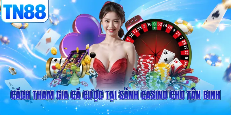 Cách tham gia cá cược tại sảnh casino cho tân binh