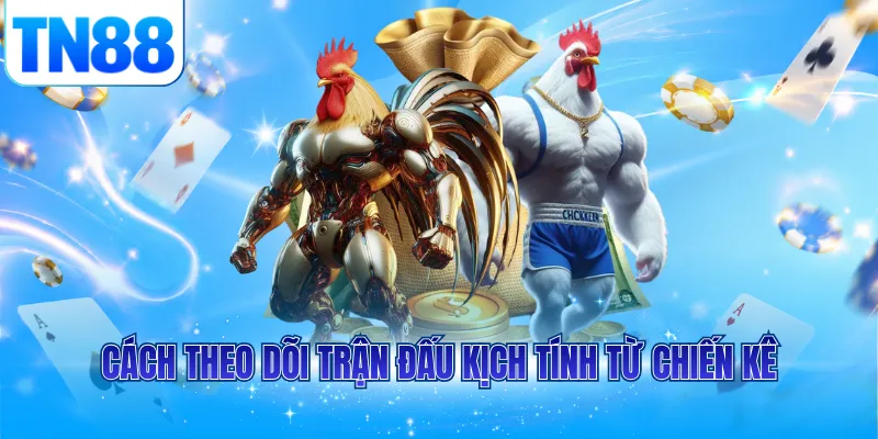 Cách theo dõi trận đấu kịch tính từ chiến kê