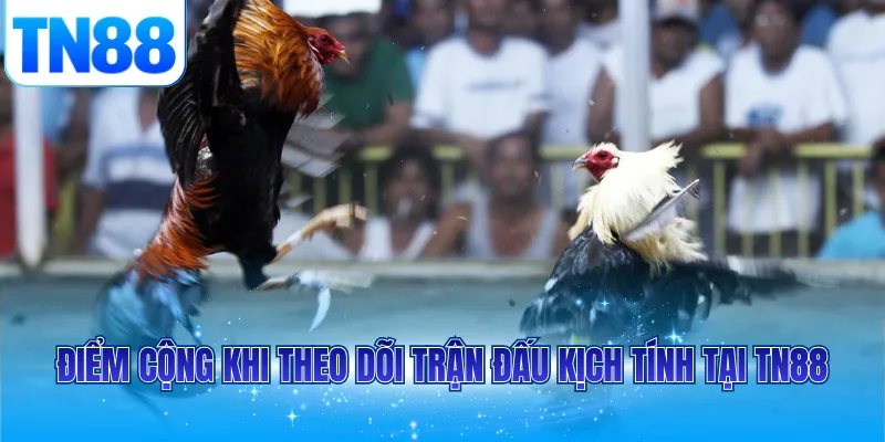Điểm cộng khi theo dõi trận đấu kịch tính tại TN88