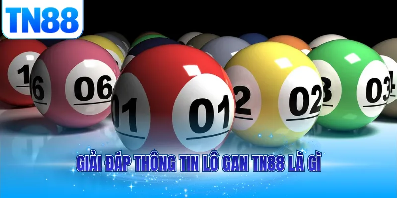 Giải đáp thông tin lô gan TN88 là gì