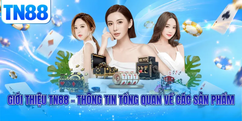 Giới thiệu TN88 - Thông tin tổng quan về các sản phẩm