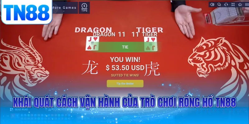 Khái quát cách vận hành của trò chơi Rồng Hổ TN88