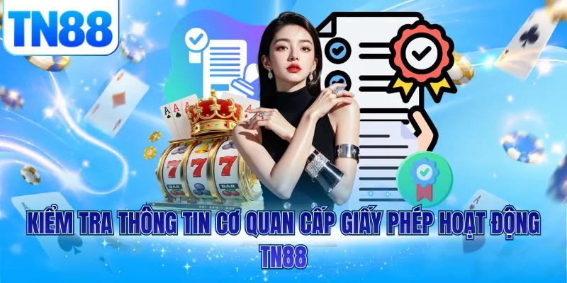 Kiểm tra thông tin cơ quan cấp giấy phép hoạt động TN88