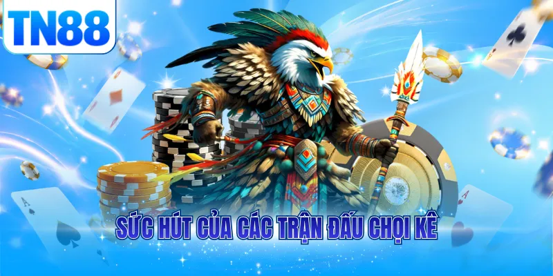 Sức hút của các trận đấu chọi kê