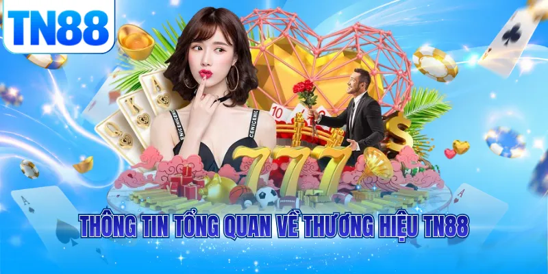 Thông tin tổng quan về thương hiệu TN88