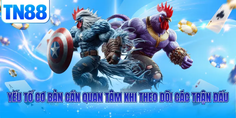 Yếu tố cơ bản cần quan tâm khi theo dõi các trận đấu